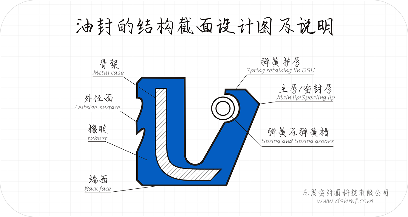 油封截面结构解剖图 油封截面结构解剖图