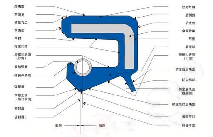 内包骨架油封各部位主要名称和术语图
